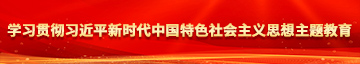 亚州美女干B学习贯彻习近平新时代中国特色社会主义思想主题教育