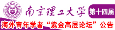 大鸡巴淫秽视频南京理工大学第十四届海外青年学者紫金论坛诚邀海内外英才！